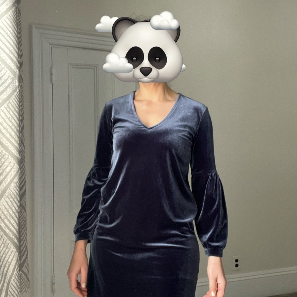 Madewell Elegant Velvet Dress in Deep Blue